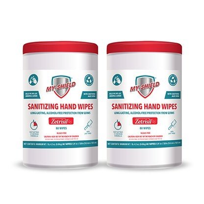 Sanitizing Hand Wipes 80 Count Canister 2 Units